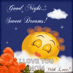 Love Good Night Sleeping Sun GIF