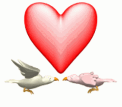 Love Heart Birds GIF