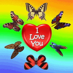 Love Heart Butterflies GIF