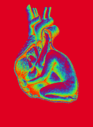 Love Heart Kissing GIF
