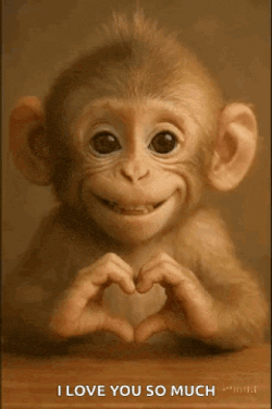 Love I Love You GIF
