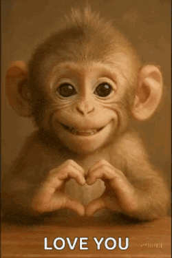 Love I Love You GIF