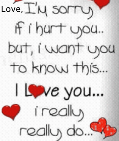 Love I'm Sorry If I Hurt You Quote