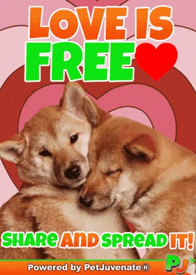 Love Is Free Poster With Dogs Hugging GIF