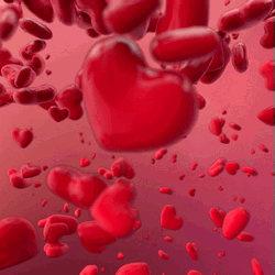 Love Red Raining Hearts
