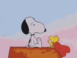 Love Snoopy Woodstock