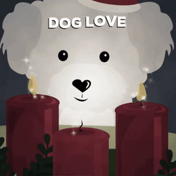 Love White Dog Watching Candles GIF