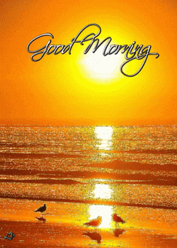 Love You GIF