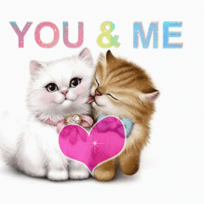 Love You Kitten GIF