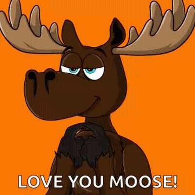 Love You Moose Cartoon GIF