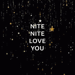 Love You Nighty Night GIF