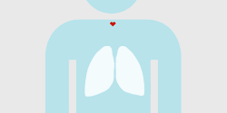 Love Your Lungs Animation GIF
