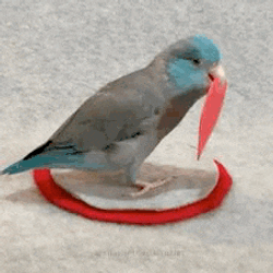 Love Youuu Love You Too GIF
