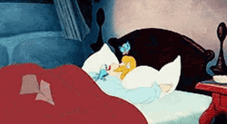 Lovely Cinderella Sleeping