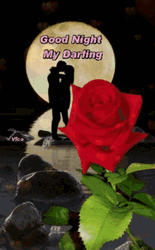 Lovers And Full Moon Rose Good Night GIF