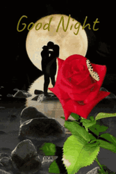 Lovers Under Moonlight Rose Good Night GIF