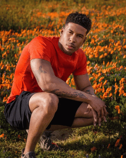 Low Tier God Flower Fields GIF