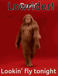 Lowrider Looking Fly Tonight GIF