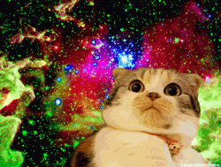 Lsd Galaxy Shocking Cat GIF