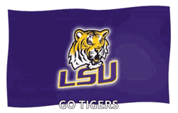 Lsu Football Go Tigers GIF