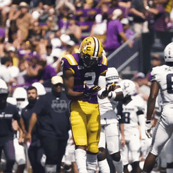 Lsu Football Looks At Hands GIF