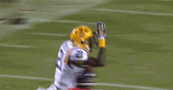Lsu Football Shark Fin Sign GIF