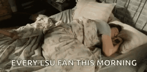 Lsu Football VEvery Fan This Morning GIF