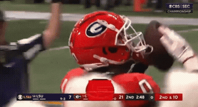LSU Vs Georgia Tech Football Game GIF