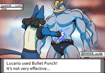 Lucario As Raiden Punching Armstrong Machamp GIF