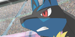 Lucario Ready To Rumble Fight Pose GIF