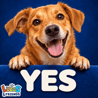 Lucas And Friends Ad With Dog GIF