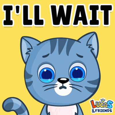 Lucas And Friends Cat GIF