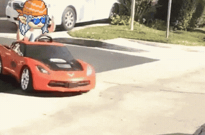 Lucas And Friends Lion Sitting On Pool Edge GIF