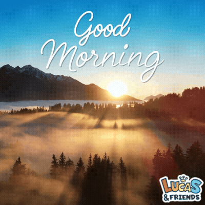 Lucas & Friends Advertisement Sunset Over Foggy Forest GIF
