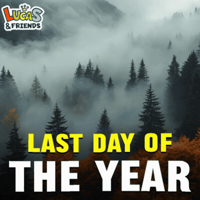 Lucas & Friends Foggy Forest Ad GIF