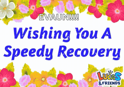 Lucas & Friends Speedy Recovery Flowers GIF