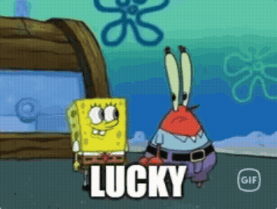 Lucky Duck Running Down Road GIF