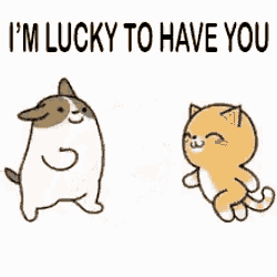 Lucky To Have You GIF