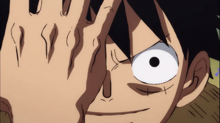 Luffy Fighting Scene Using Ryou GIF