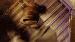 Luh Tyler Counting Lots Of Money GIF