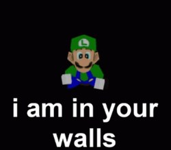 Luigi I Am In Your Walls GIF