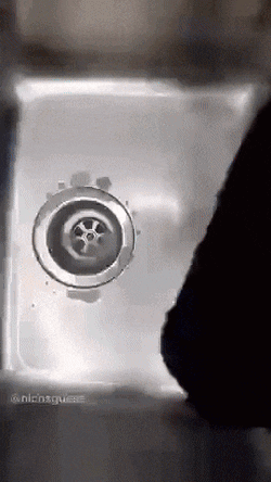 Luigi Maltigi GIF