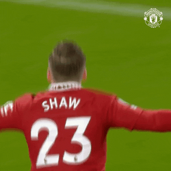 Luke Shaw Cheering On The Field GIF