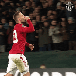 Luke Shaw Crowd Interaction GIF