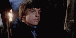 Luke Skywalker Confident Look GIF