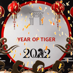 Lunar New Year 2022 Fireworks Confetti GIF