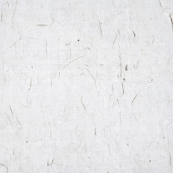 Lunar New Year Long Chinese Handwriting GIF