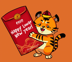 Lunar New Year Tiger  GIF