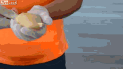 Lunch Time Leak Potato Wedges GIF