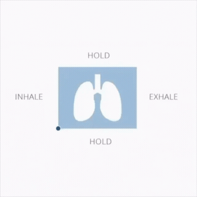 Lungs With Hold Inhale Exhale GIF